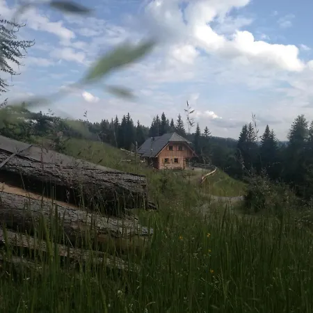 山林小屋 Almchalet Nikola Hinteregg