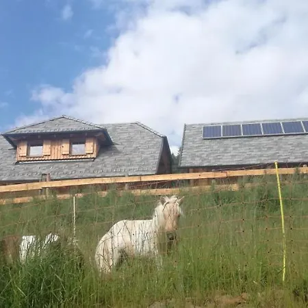 Almchalet Nikola 山林小屋 *