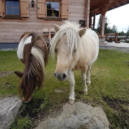 Almchalet Nikola Hinteregg
